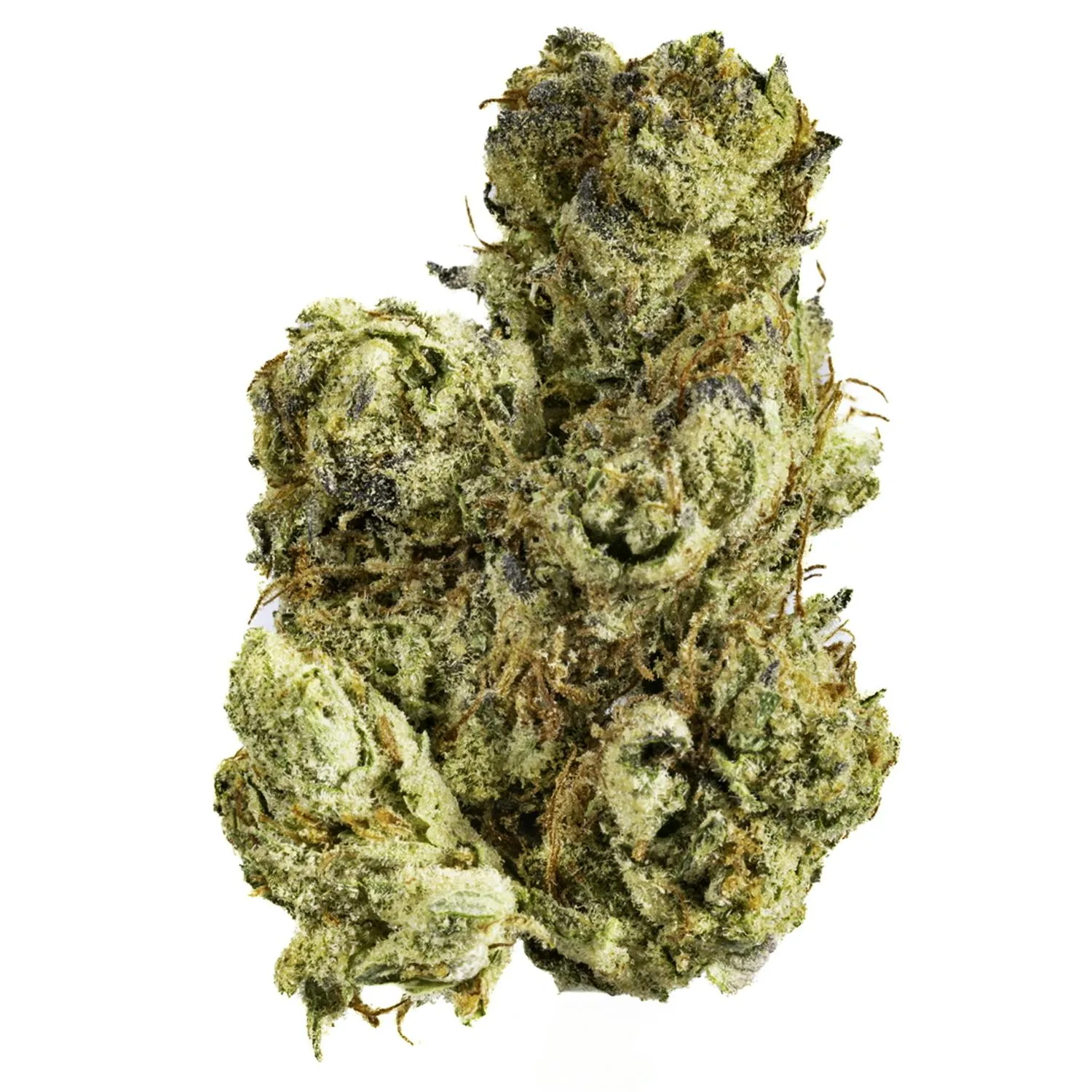 Kush Crasher - 14g Premium Flower