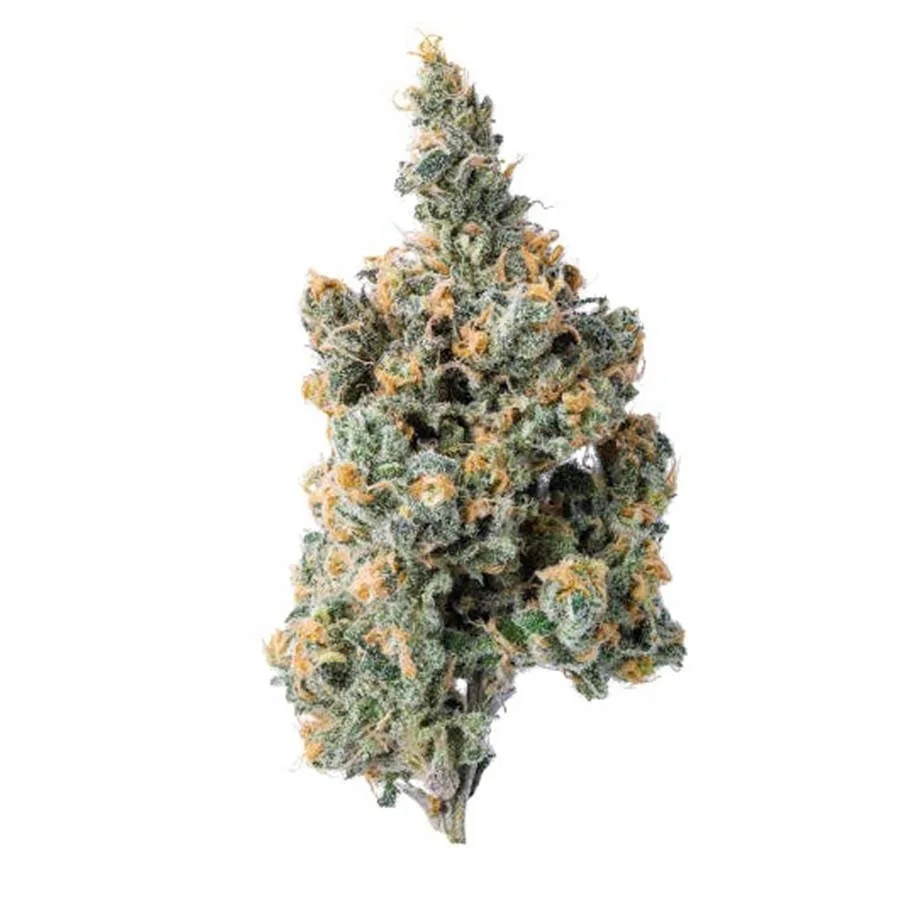 Blue Chip - Platinum Blue Dream 3.5g