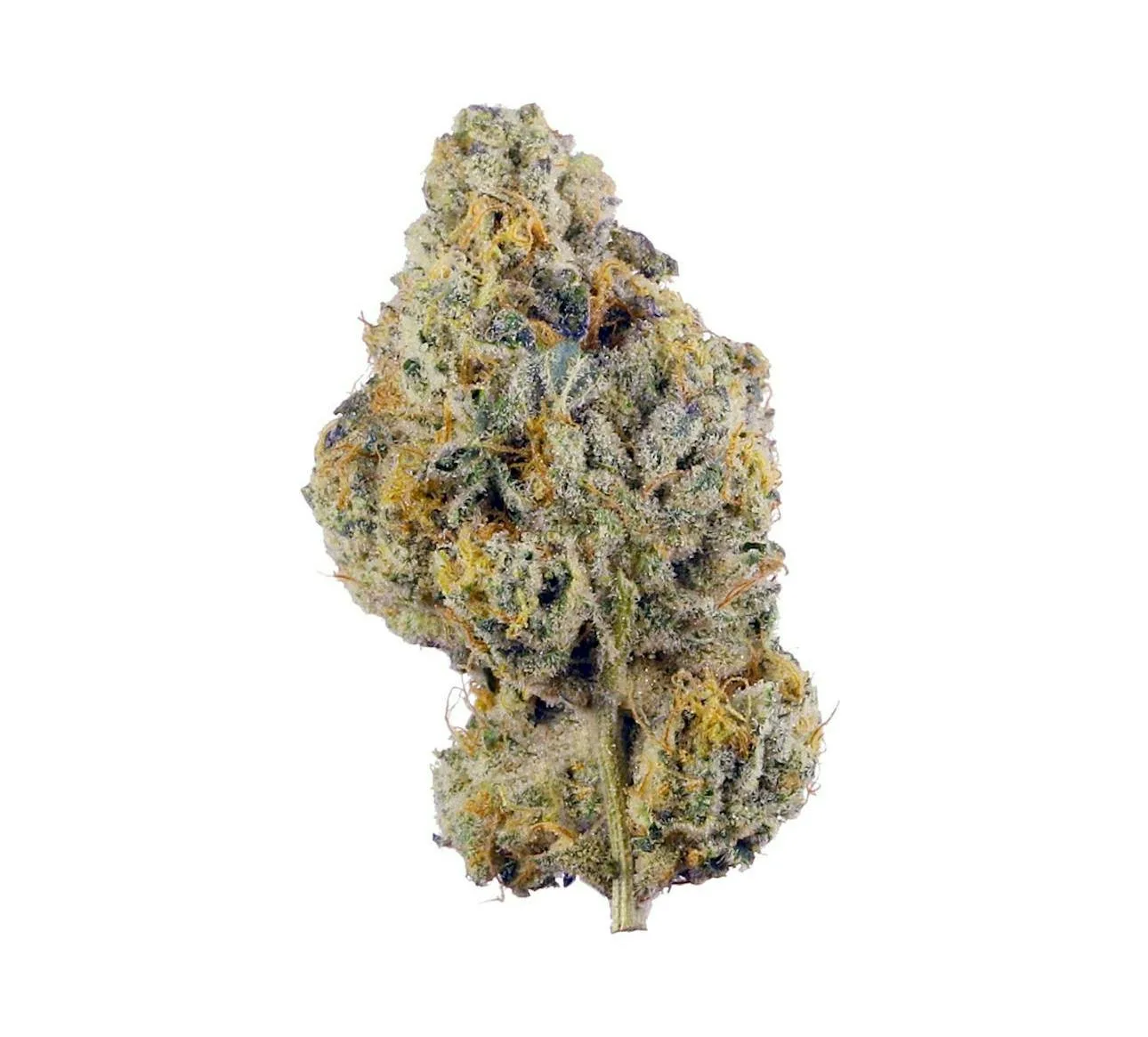 Wedding Cake 14g - Premium Indoor Flower