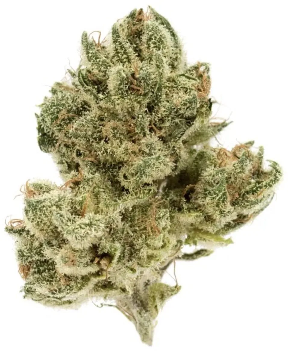 Juicy Jack