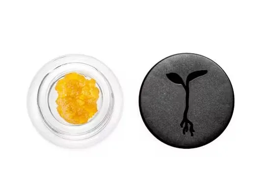 Raw Garden - Concentrate - Resin - Apple Fritter #74 - 1G