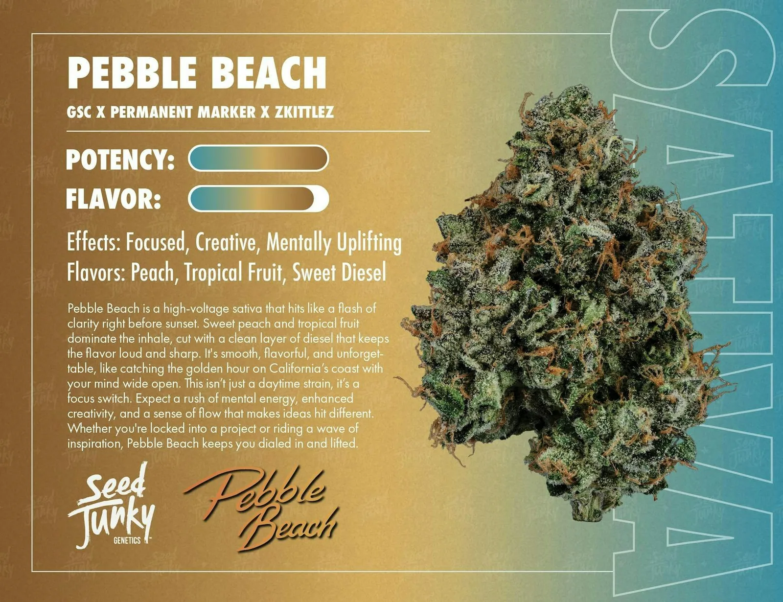 Seed Junky | Pebble Beach | Big Buds