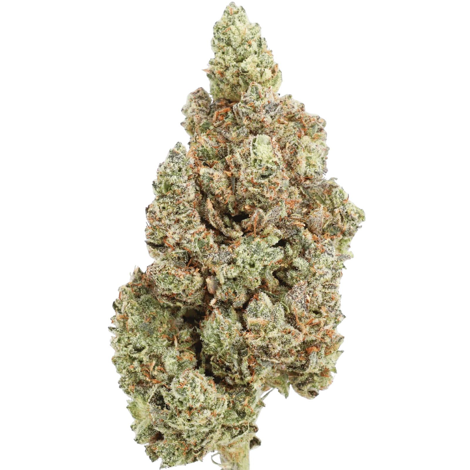 LAW - GORILLA #4 - 10 GRAMS