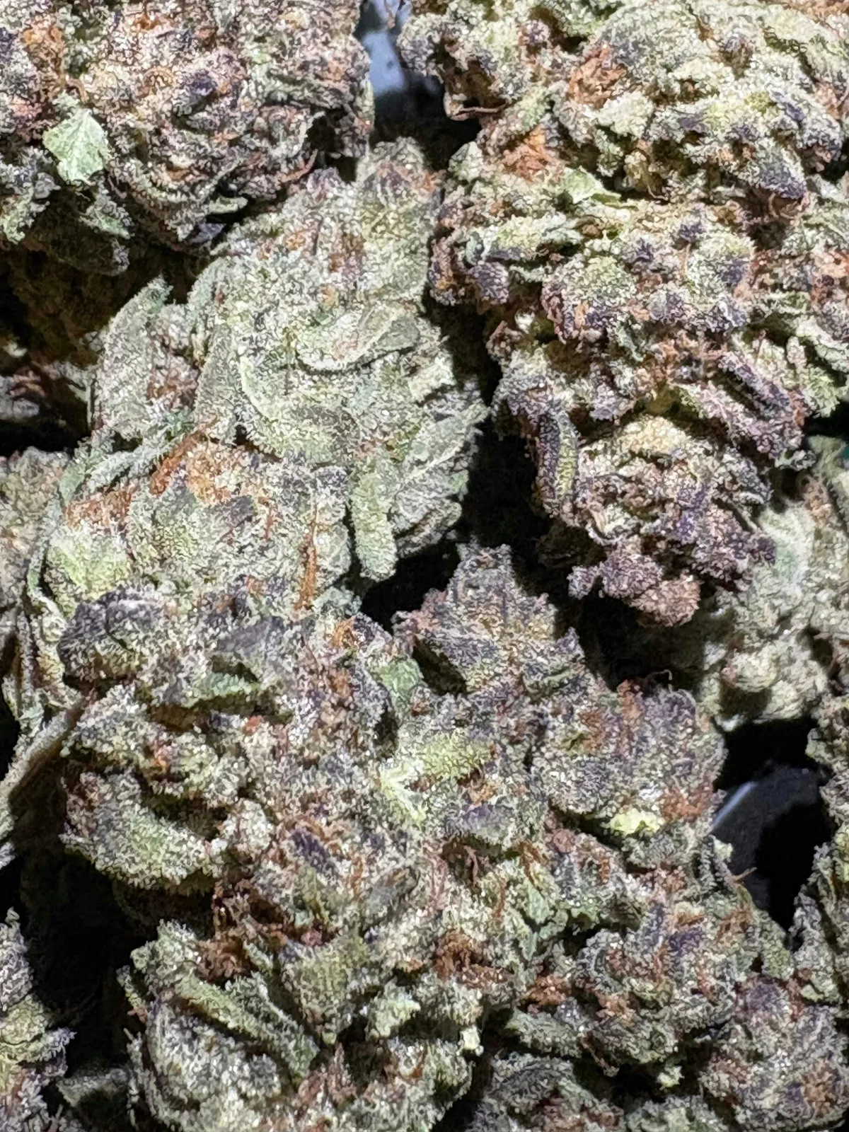 Sum Good - $8 Peanut Butter Breath - Flower - 8th - 31% THC (AAA-Grade) - 3.5 grams
