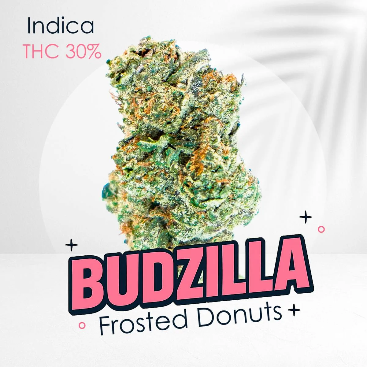 Frosted Donuts -Top shelf