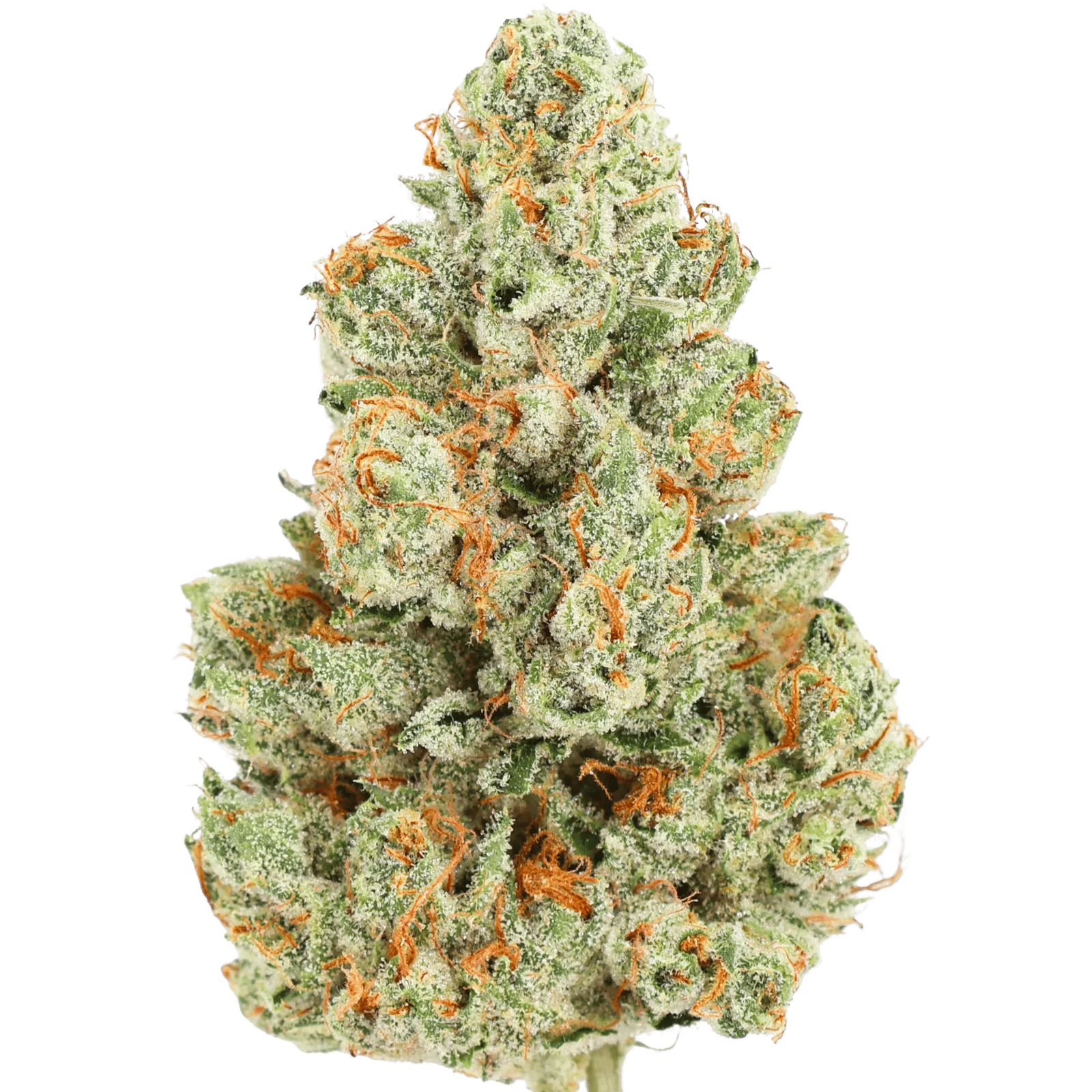JCR - MEGA OG - 10 GRAMS