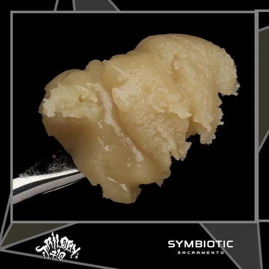 TRILOGY 710 | PEPPERMINT BARK | COLD CURE ROSIN - 1 g