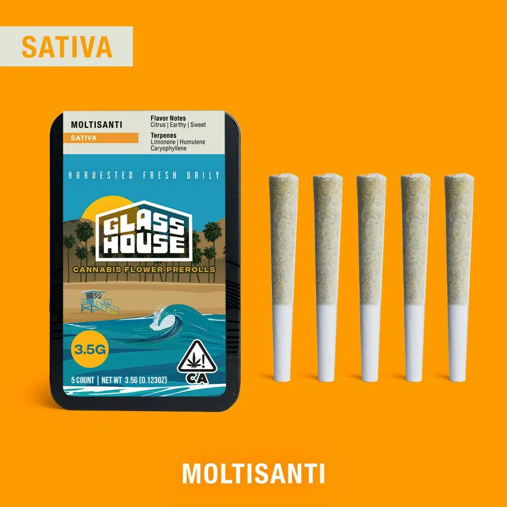Moltisanti [.7g 5pk]