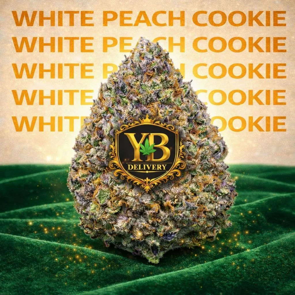 YB | WHITE PEACH COOKIE 33.38% (28G TOP-SHELF FLOWERS HYBRYD)