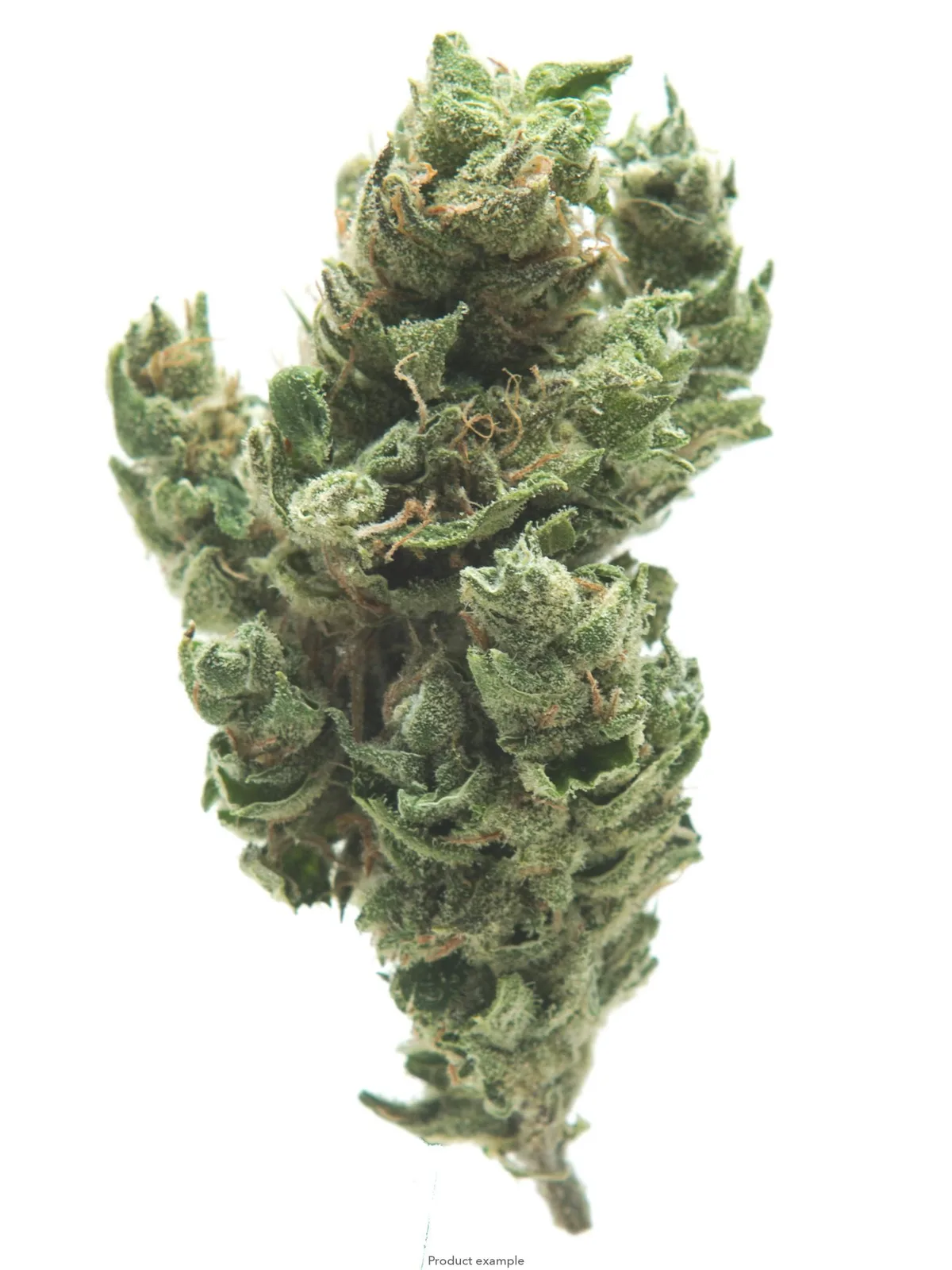 $100 Ounce of the Day - Goji OG