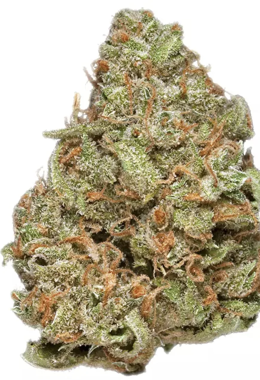 Cat Piss - Sativa - 28.92% THC