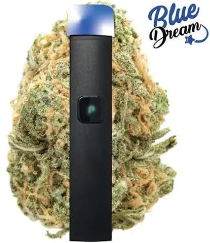 Blue Dream [S] - DNA Ready To Use