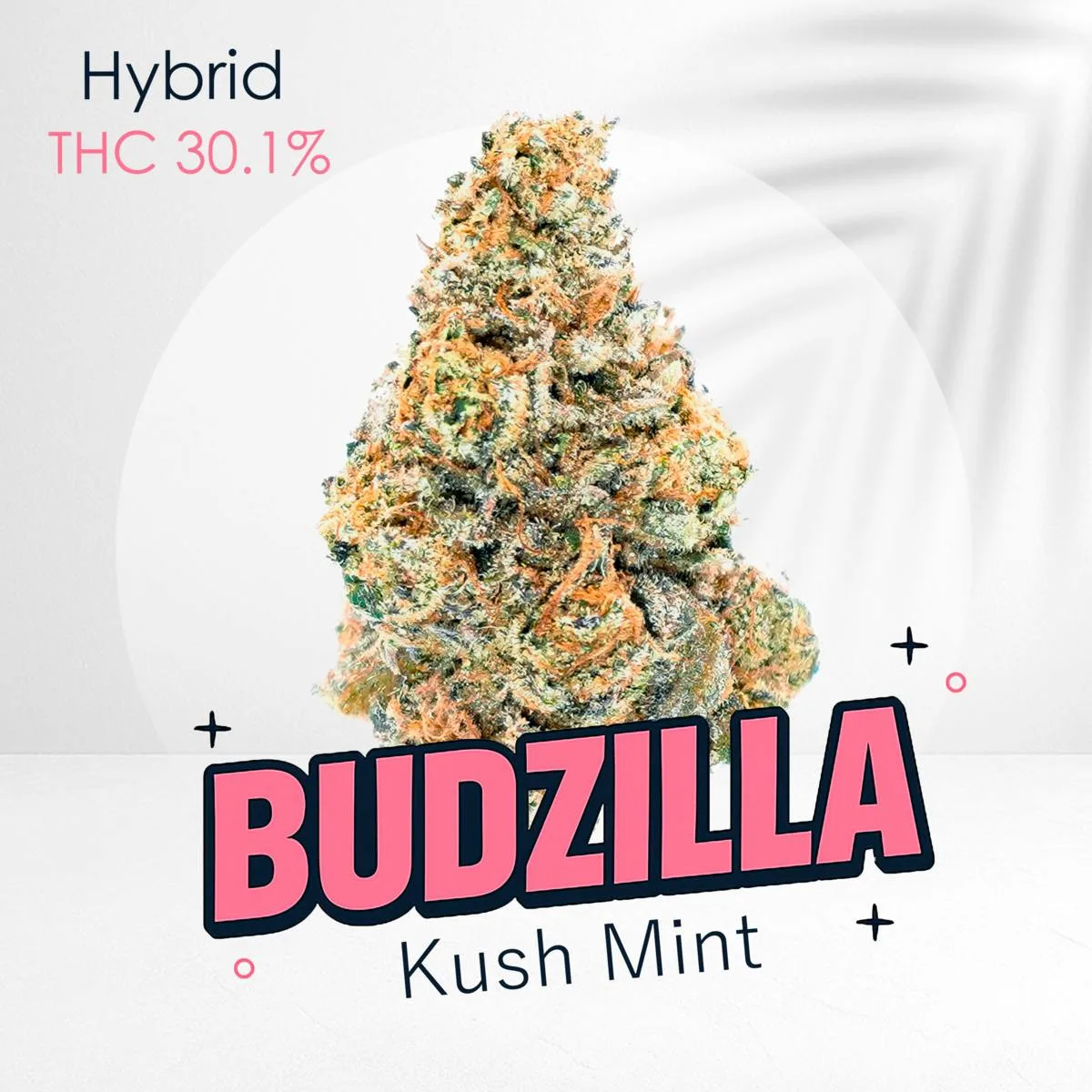 Kush Mint -Top shelf