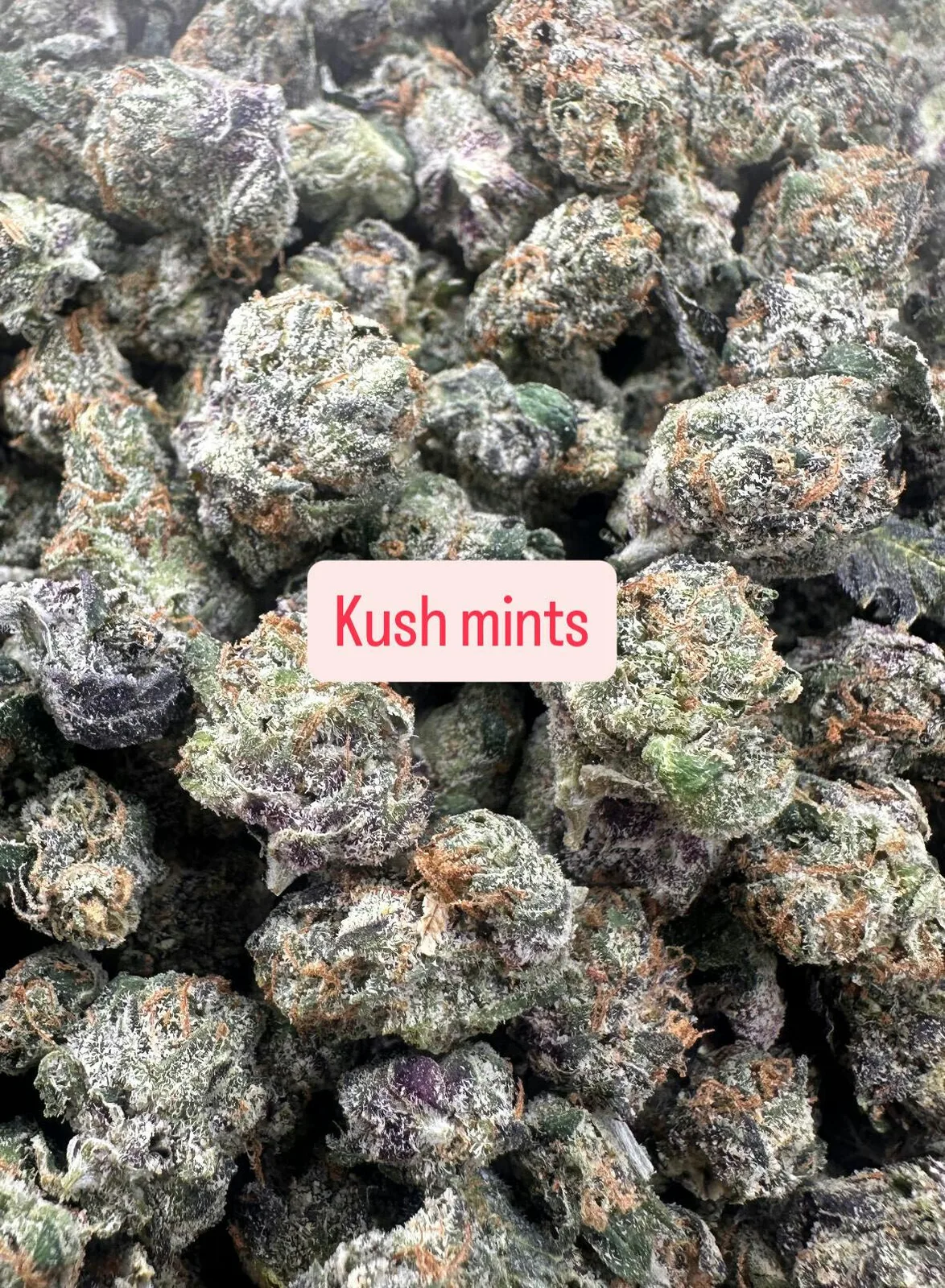 Kush Mints