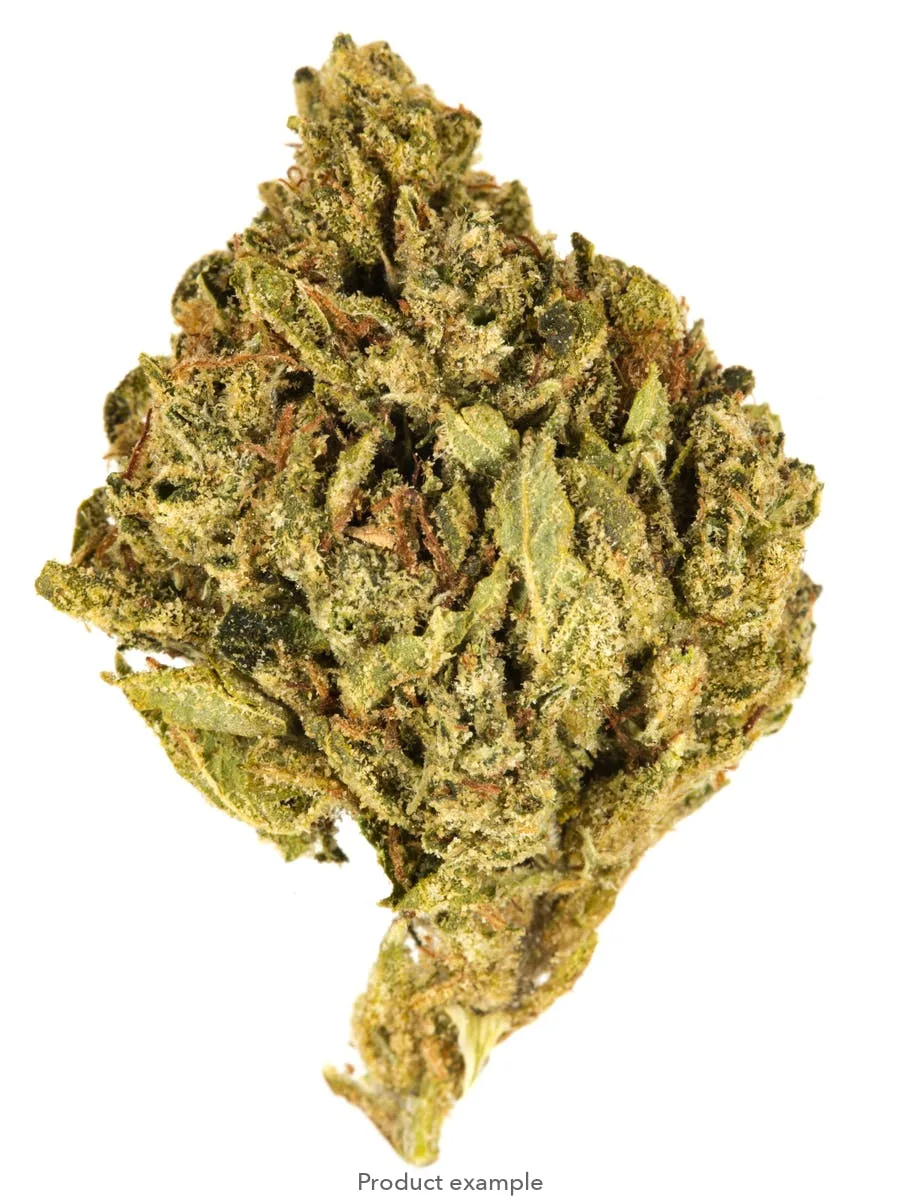 $100 Ounce of the Day - Fire Lookout