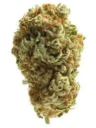 Alpaca Bowl 4 U - ALPACA CLUB - Tropical Gelato (H) - Mixed Light - 14g Bag