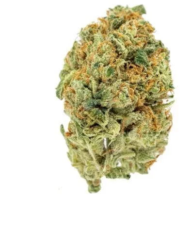 Grower Circle - Rotten Lemons