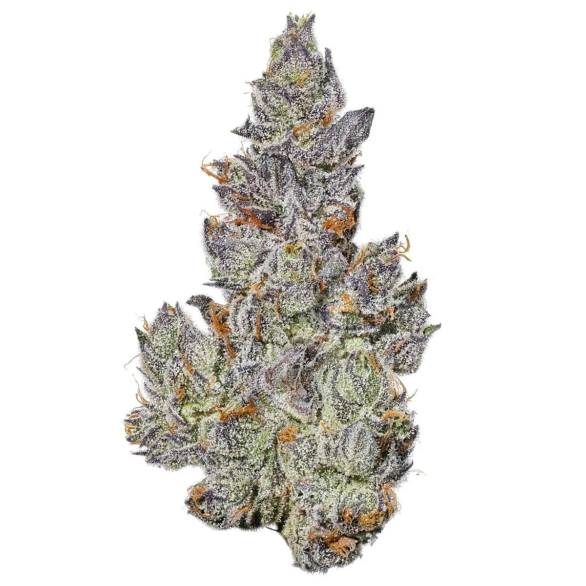 Dopamine