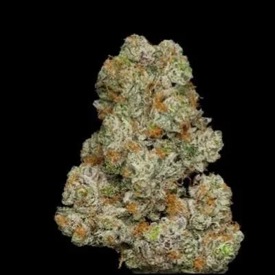 COOKIE OG - I-Hybrid - 31.46% THC - 7G