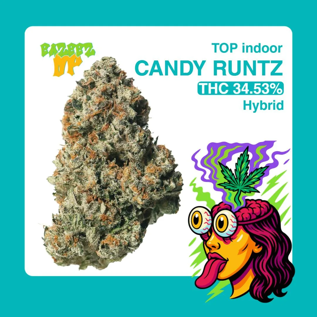 Candy Runtz - Top Indoor - New Drop- (14g-1/2oz) - Hybrid