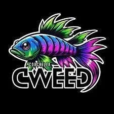 Coachella CWeed- Premium Indoor Flower 3.5g