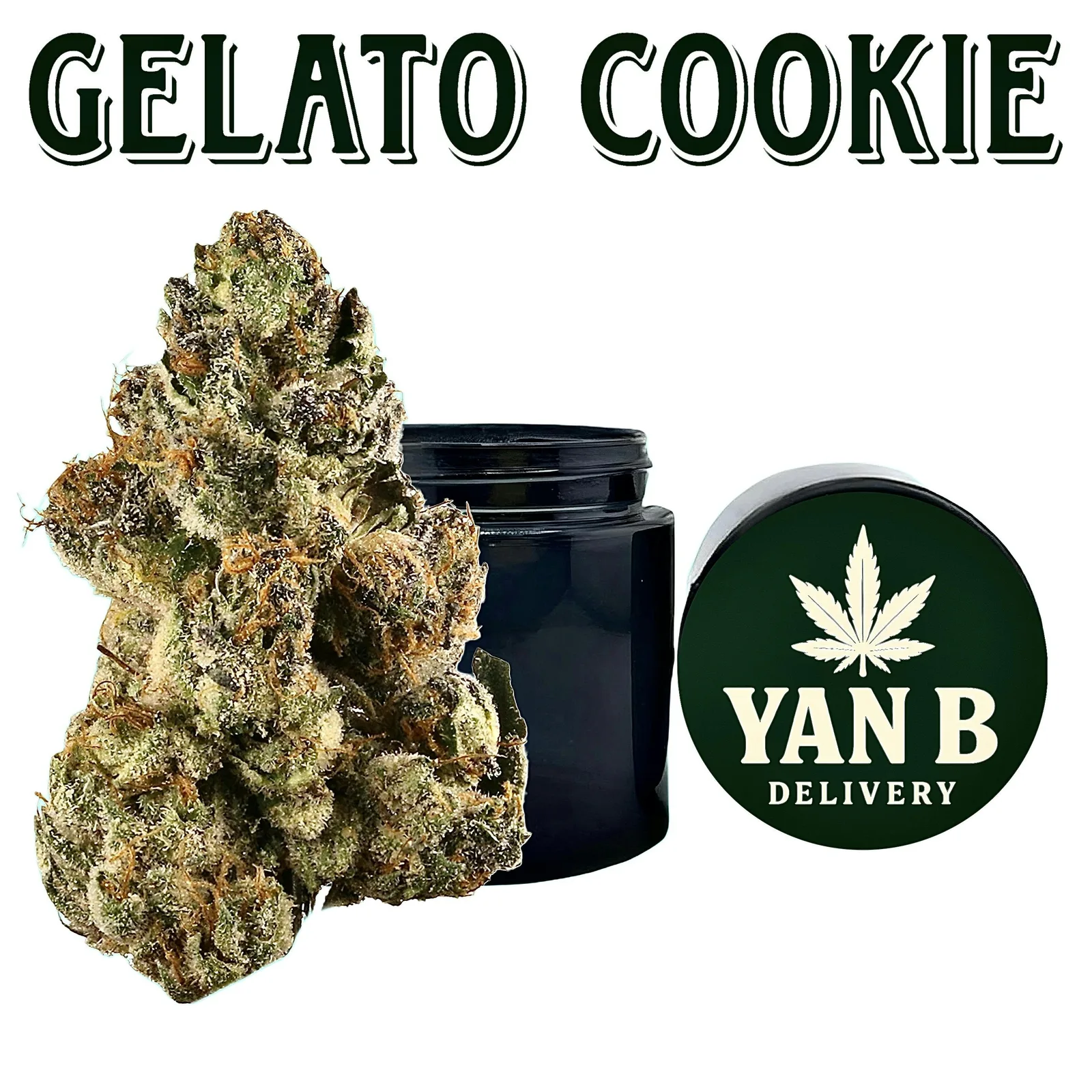 Gelato Cookie 14g - Premium Indoor Flower