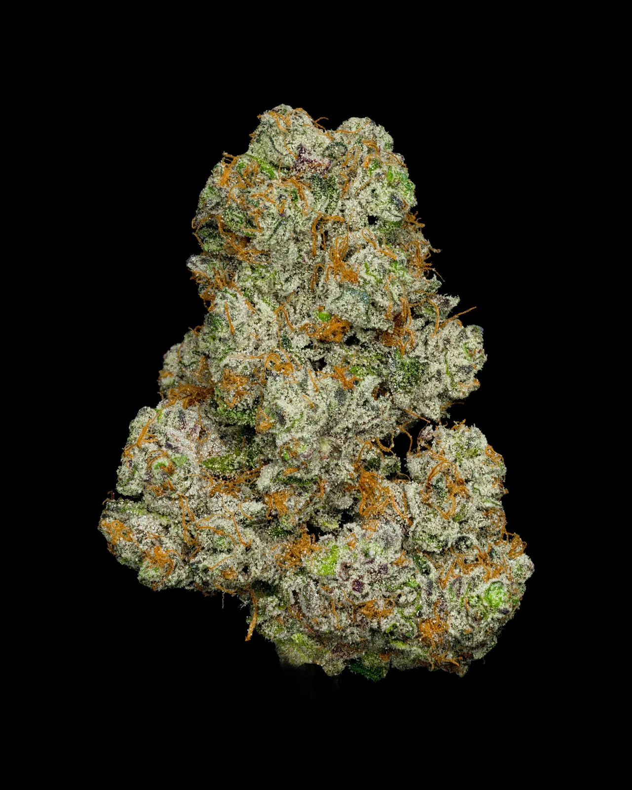 Girl Scout Cookies 28G (Premium Indoor Flower)