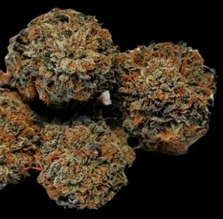 OBAMA KUSH (INDICA) 26.97% THC TIER 3