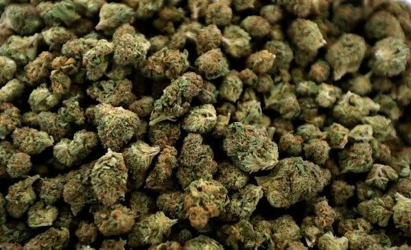 1/2oz - LCG (Medium Nugs)