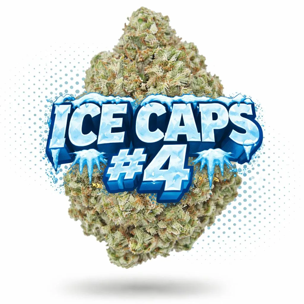 Ice Caps #4 - Topshelf Indoor - New Drop - Hybrid