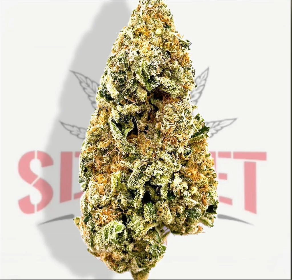 SWISS TSUNAMI (32.65%) - SATIVA - TIER 3