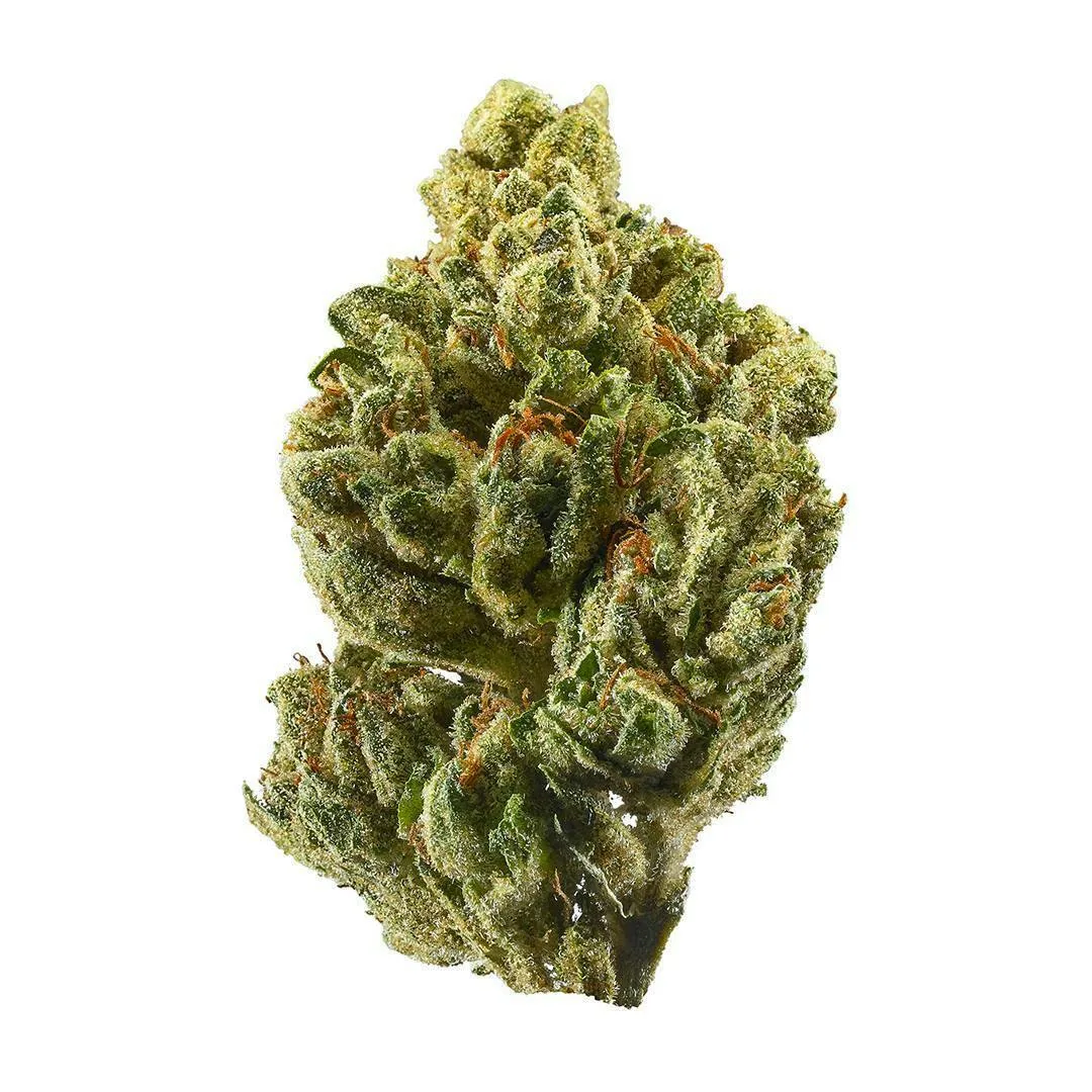 Syndicate OG 14g Indoor Bigs - Indica - 36% THC