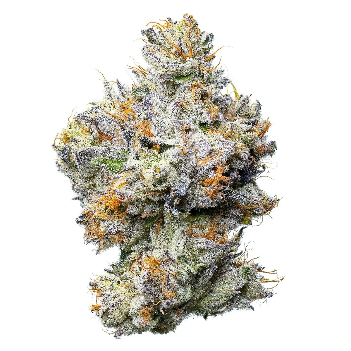 Fig OG