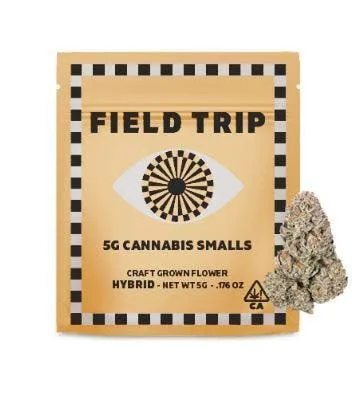 FIELD TRIP - SHAVED ICE (5G) SMALLS [H]