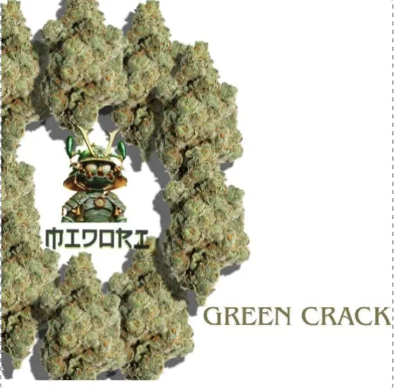 Midori Indoor Flowers - Green Crack
