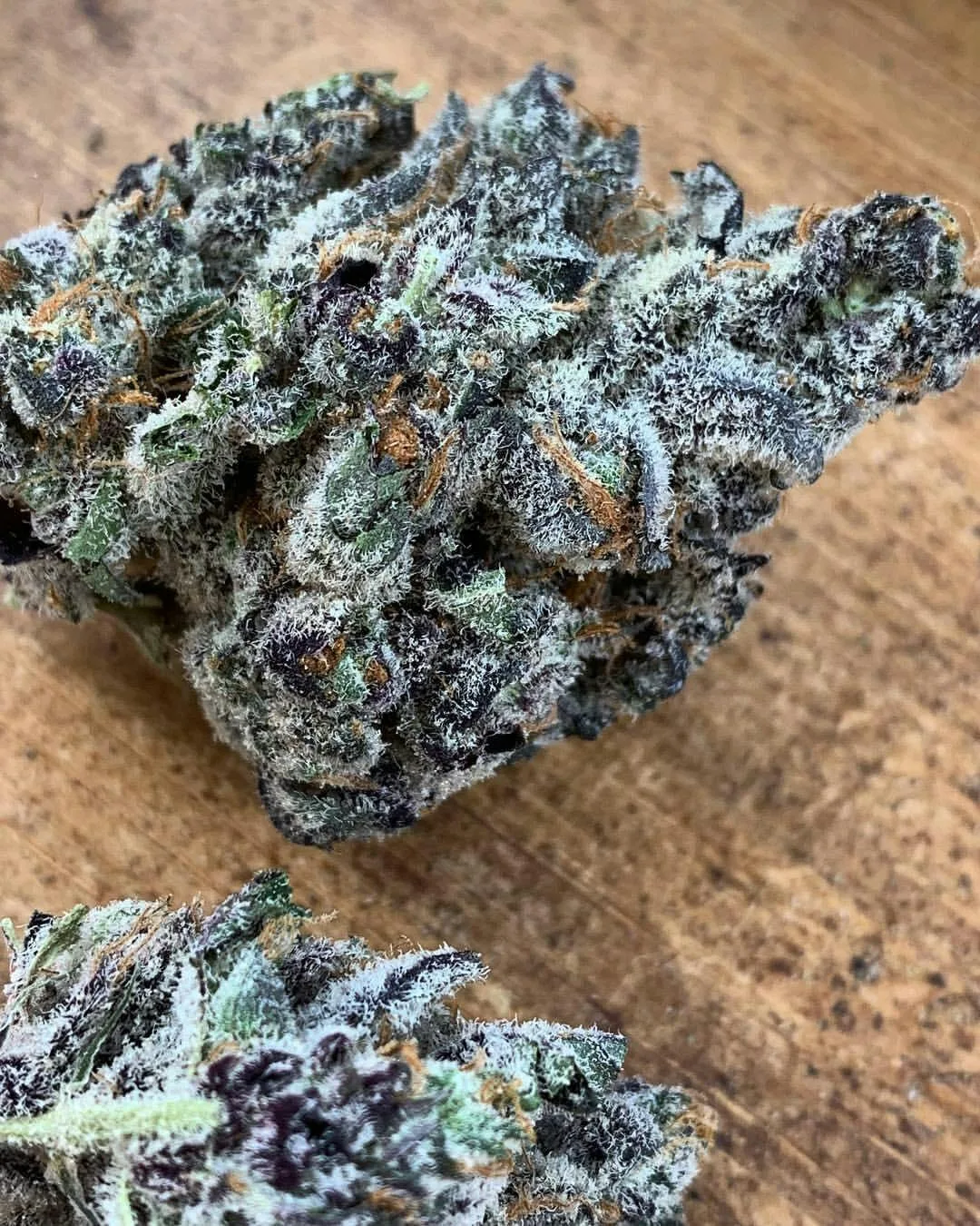Black Cherry Gelato-HYBRID 27%THC