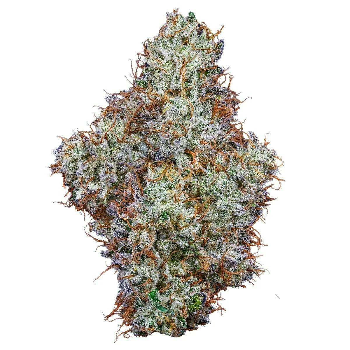 Fig Farms | Animal Runtz | Big Buds