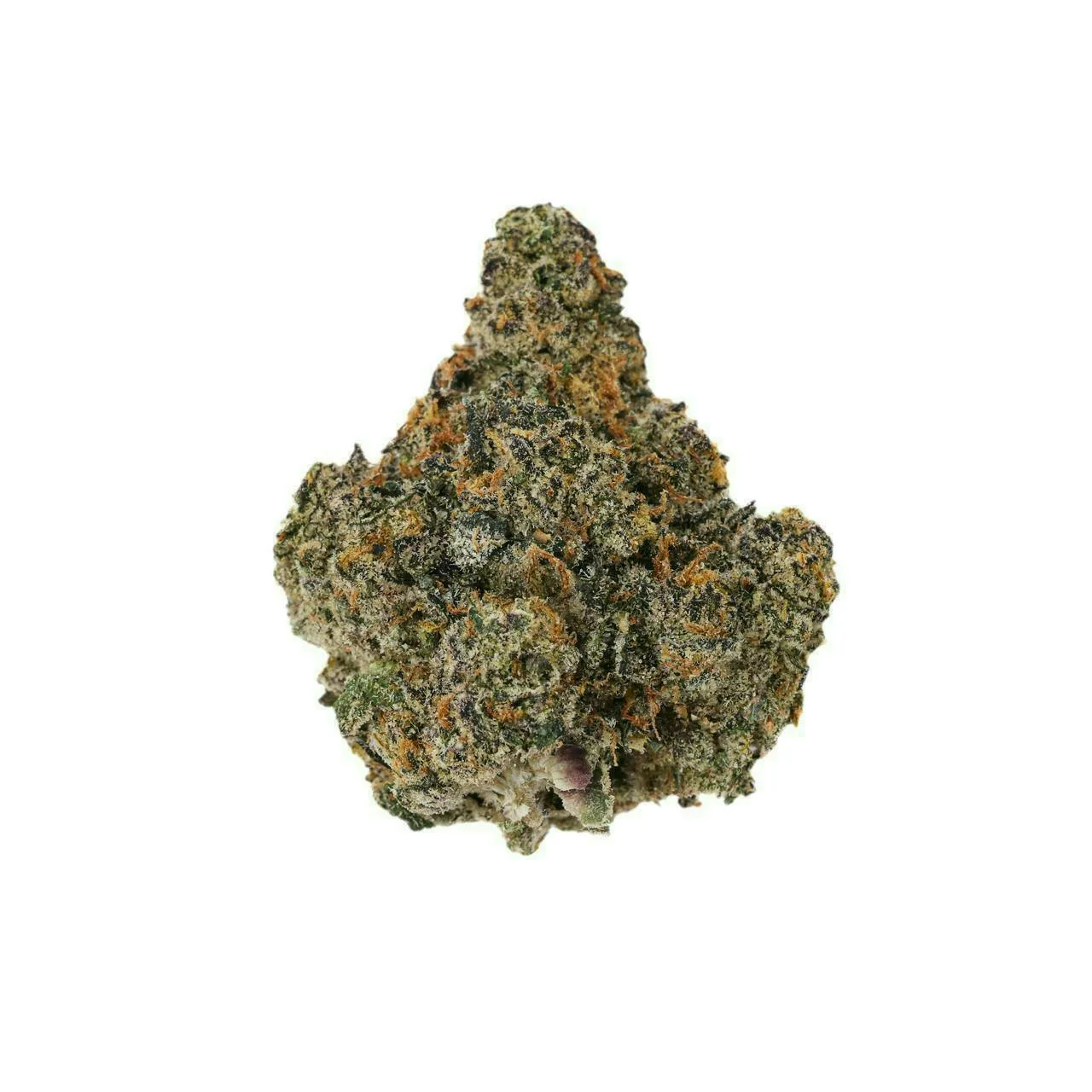 PURPLE CHAMPAGNE - EX PREMIUM SHELF FLOWER