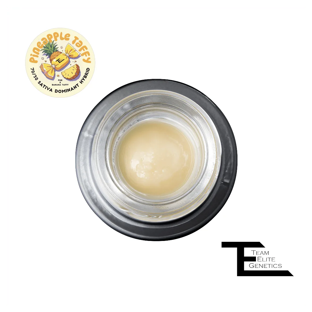 Pineapple Taffy Cold Cure Live Rosin Badder
