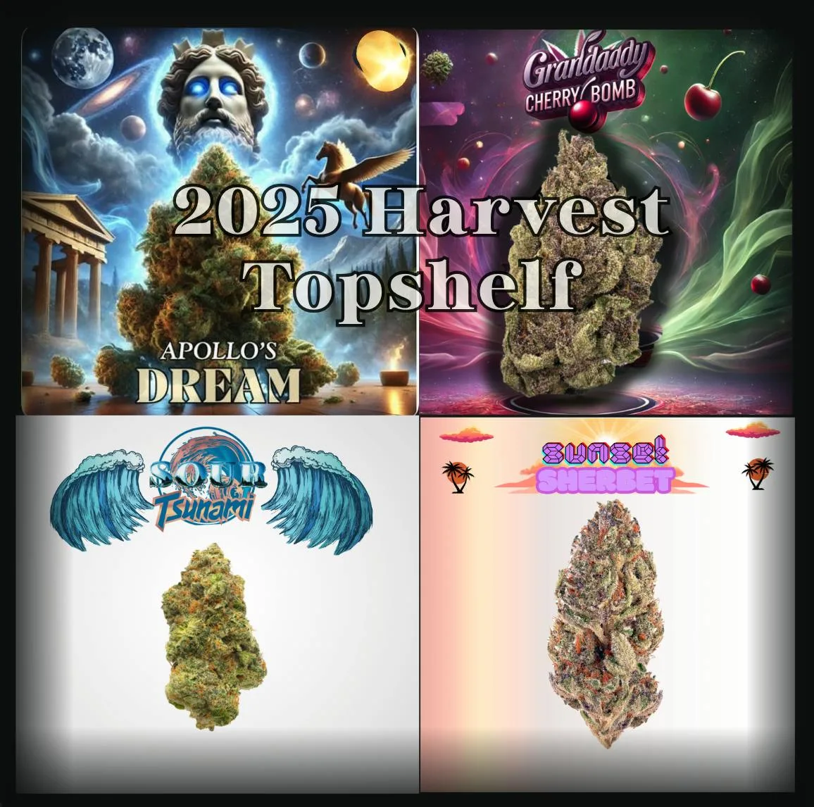 5G - 1/8th 2025 Harvest Topshelf [ Random/Assorted] - Excl.