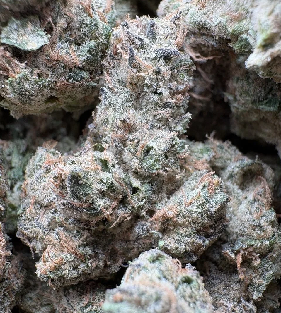 GMO x Amnesia haze INDOOR 🟣 $69 Half/$99 OZ
