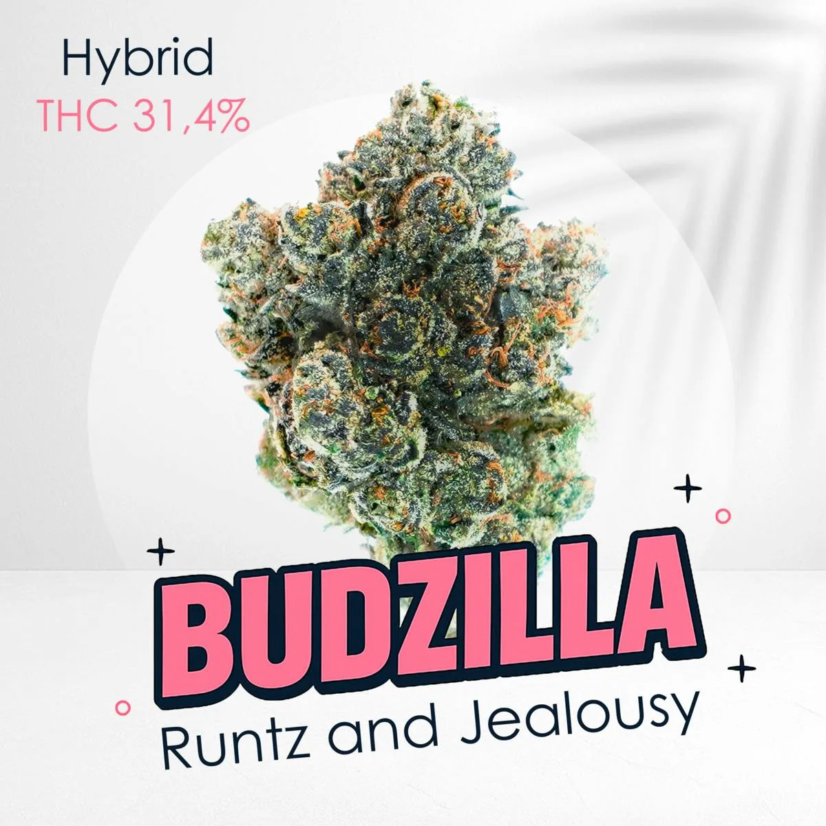 Runtz X Jealousy -Top shelf