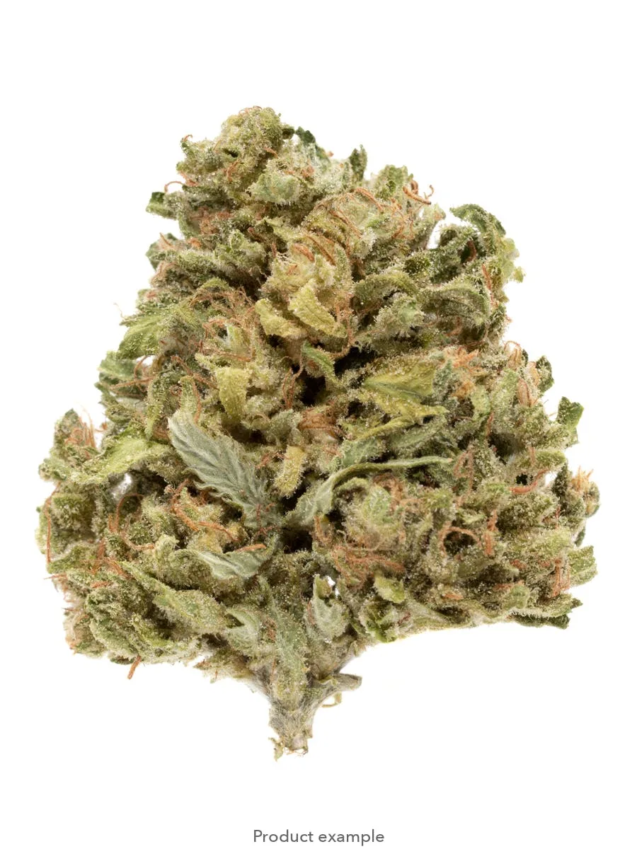 Paradise Punch 28g - Green House Flower