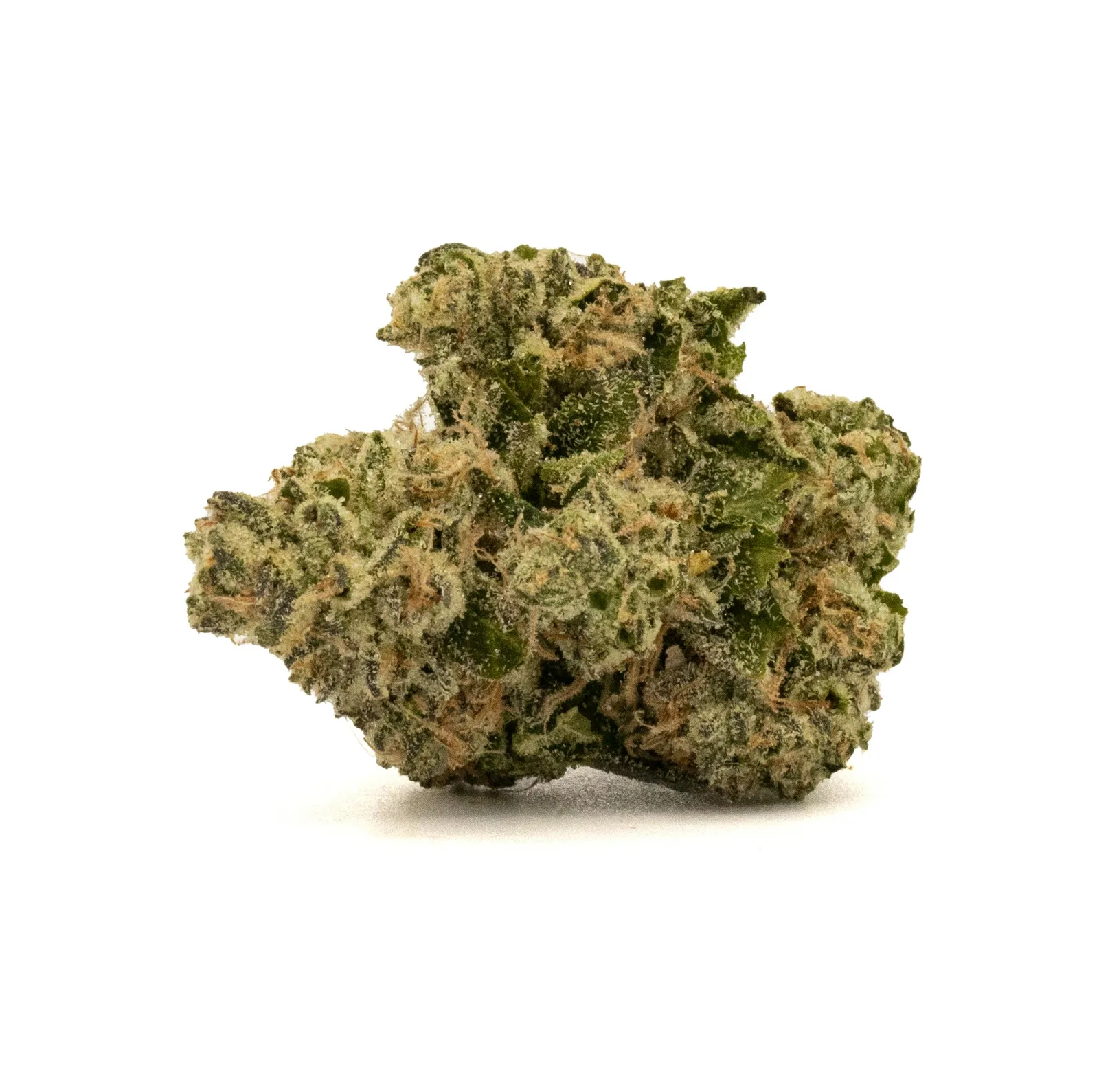 MODIFIED BANANA [14G]