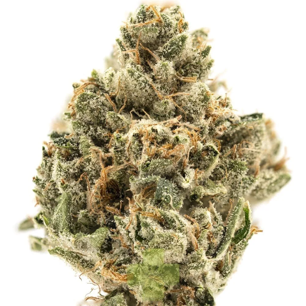 Northern Emeralds - Diamond OG - Eighth