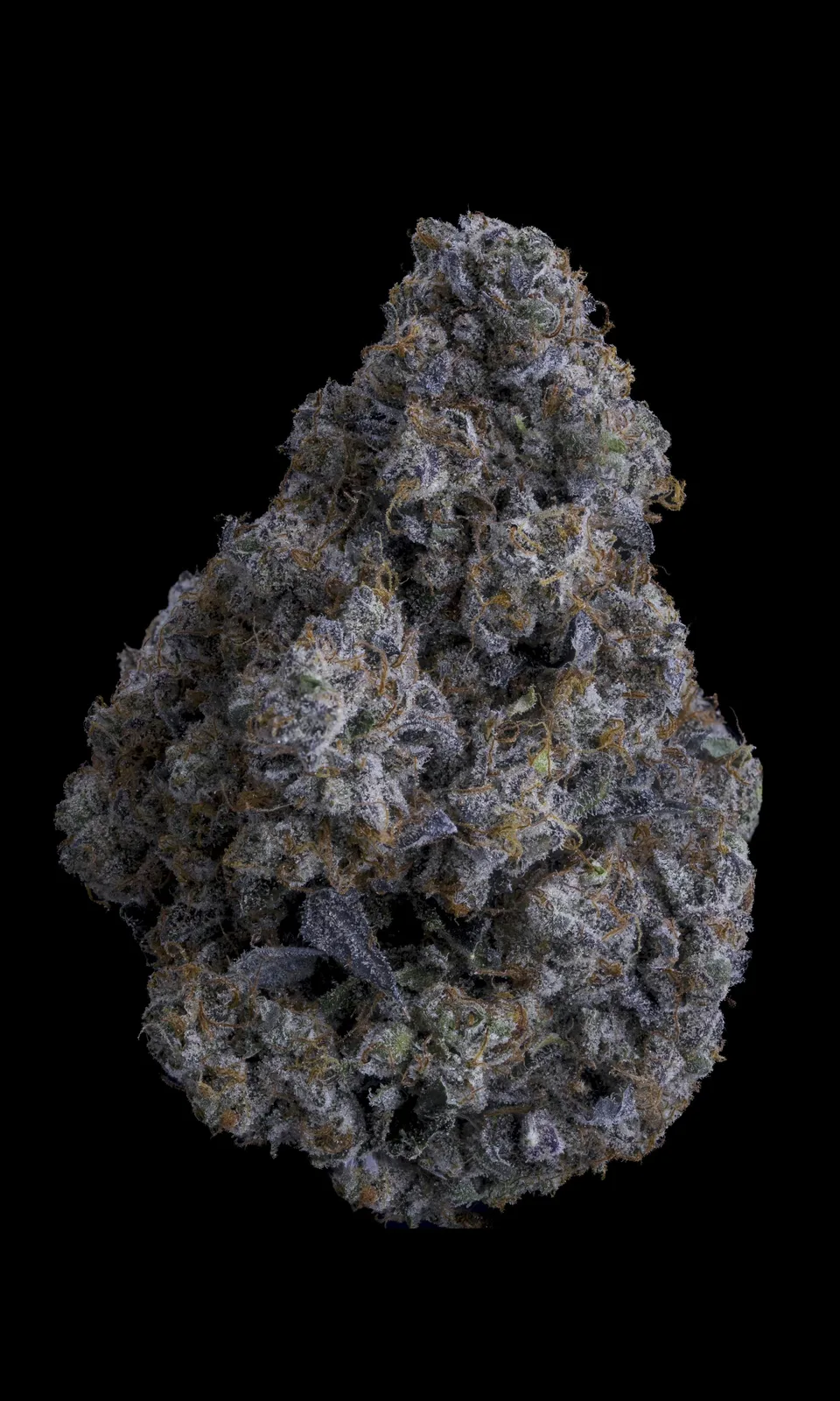 LA Ritz - Flower 3.5g Jar