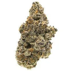 SUPER BOOF - TOP SHELF FLOWER