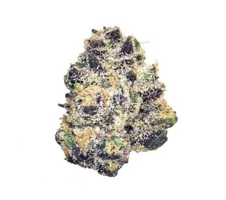 BLACK JACK (14g) *EXOTIC SMALLS* (H)