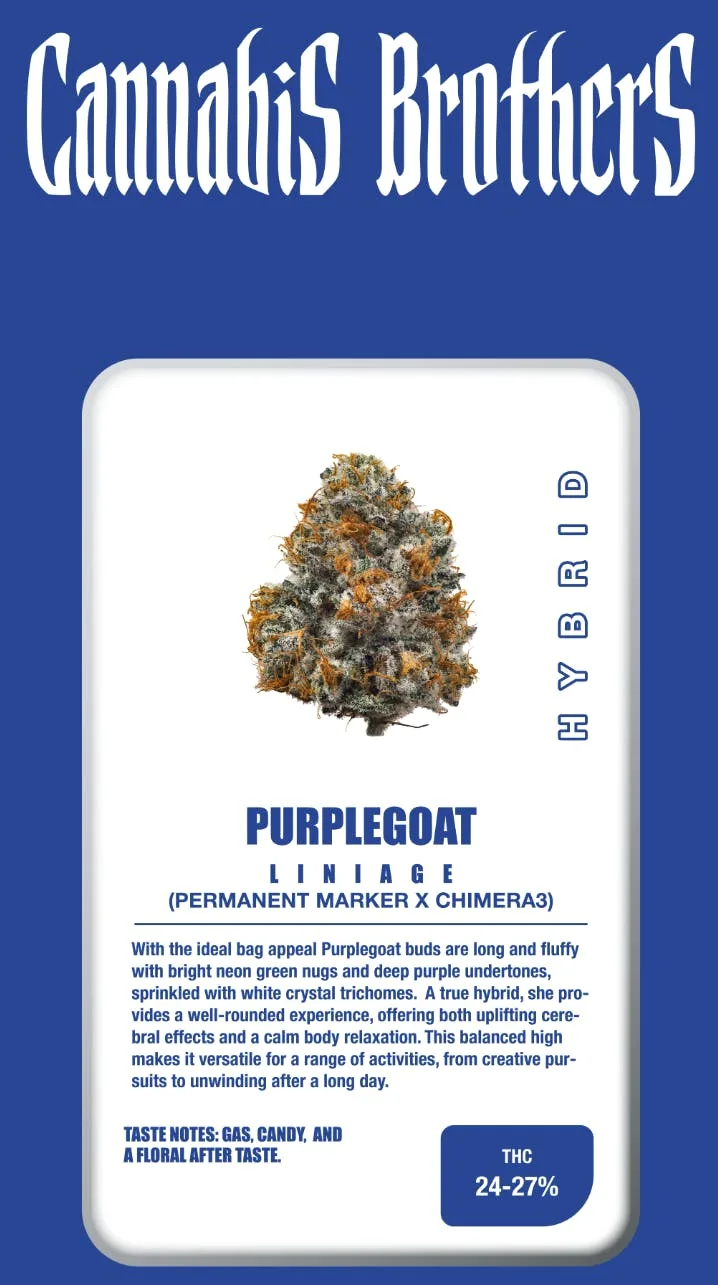 Cannabis Brothers | Purple Goat | Big Buds | 3.5g