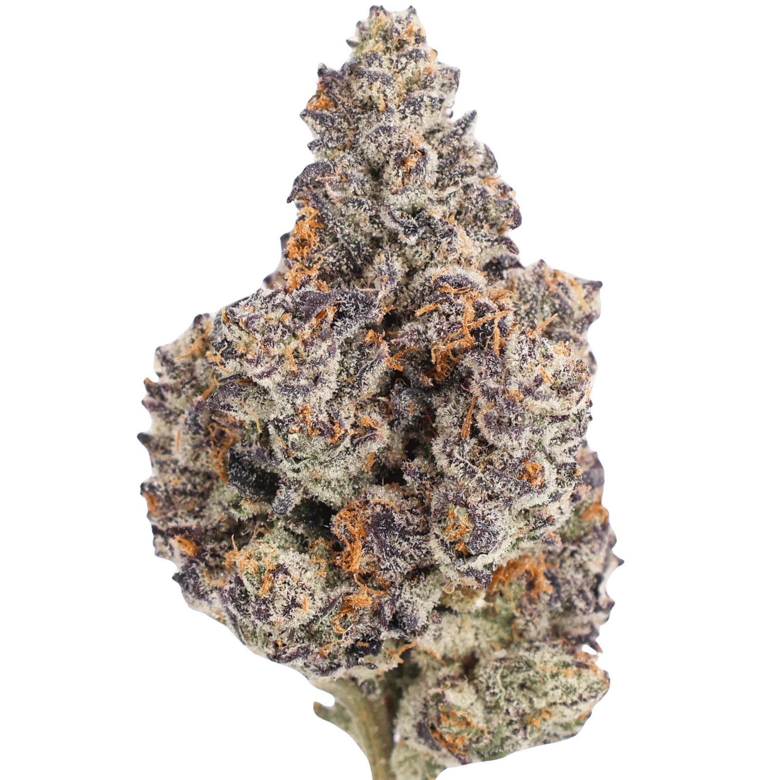 818D - BLUE FLAME - 28 GRAMS